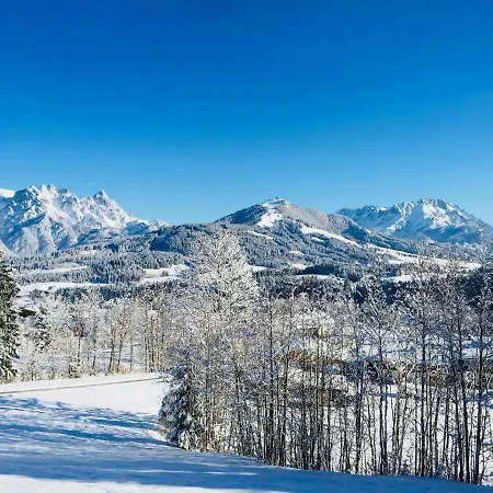 Lederer Fieberbrunn