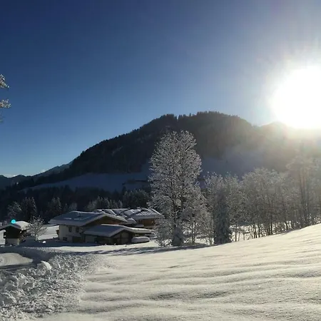 Lederer Fieberbrunn